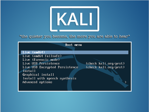 installing kali linux on usb