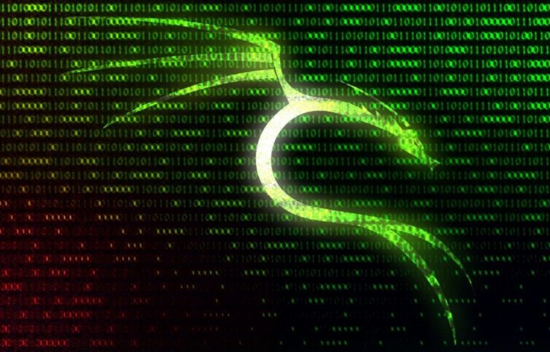 How to install Kali Linux on a key usb